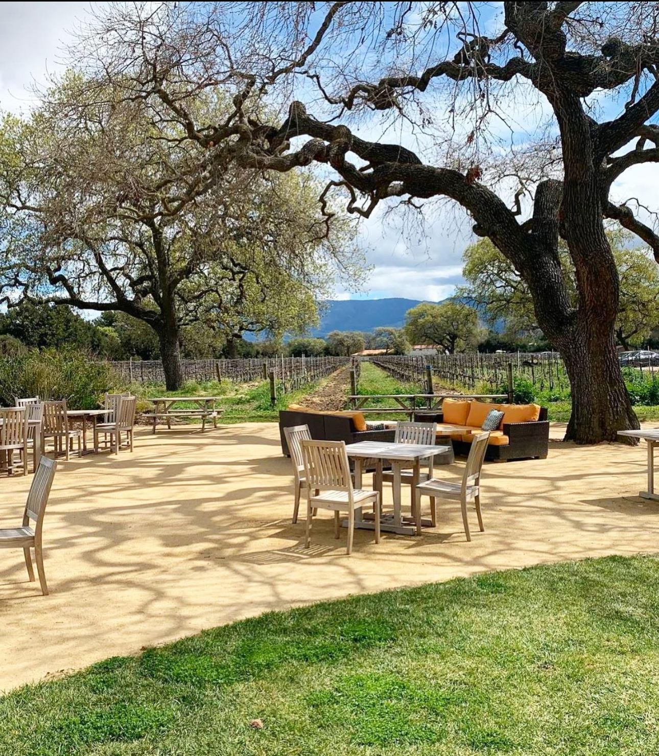 sam-adams-santa-ynez-guitarist-Roblar Vineyard Roblar Vineyard, Santa Ynez, California
